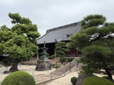 IMG_7074.jpeg